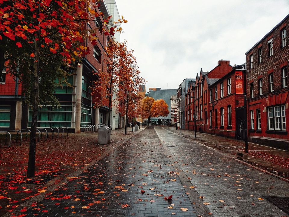A Manchester road in autumn colours